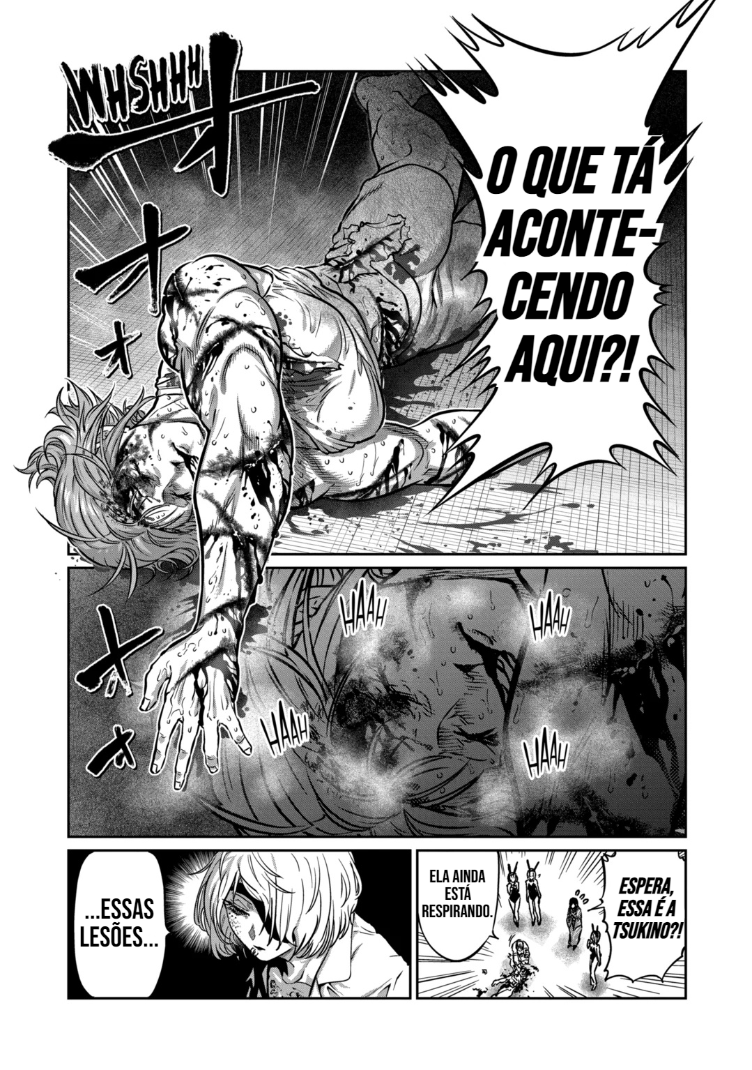 Página 14
